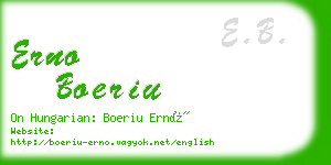 erno boeriu business card